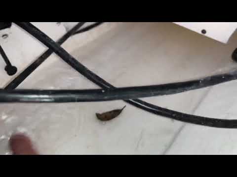 Hard Top - Back compartment