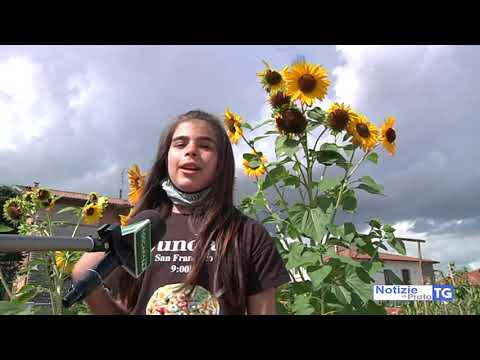 2020-08-04 PRATO - A VIACCIA I BAMBINI SOGNANO DI FARE L'ORTO