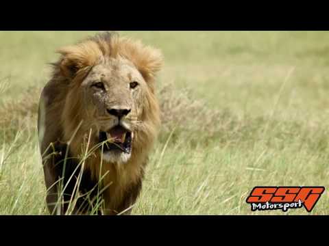 SSG Motorosport : THE LION SPEECH (Christopher Walken) // DMCC Drift - Autodrome de Montmagny (2018)