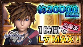 【KH3】１戦で約３万経験値大量獲得！おすすめレベル上げ法解説。簡単にLv MAX可能に。バトルポータル。【KINGDOM HEARTS 3 キングダムハーツ 3】