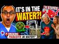 Explosive Diarrhea Parasite Spreading Through Water How To Protect Yourself From Cyclospora