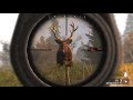 Elk Cell Today I Hunted Two Elk Cabela S Big Game Hunter Pro Hunts 2014
