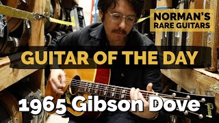 Video thumbnail for Guitar of the Day: 1965 Gibson Dove | Norman's Rare Guitars by Normans Rare Guitars