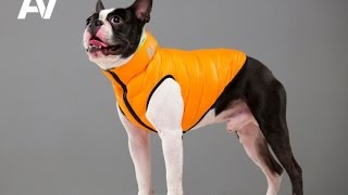 Collar (Коллар) AiryVest One комбинезон для собак, оранжевый