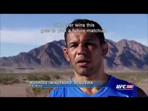 UFC Veterans Forge New Paths in the Combat Sports Arena