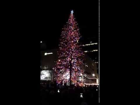 Christmas Tree Lighting - Edmonton Nov 14, 2015