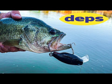 Fishing INSANE Japanese Lure for Aggresive Bass! (Deps Buzzjet)