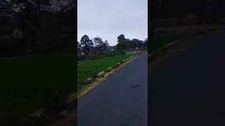 Download lagu Jalan jalan pagi sunalari mp3