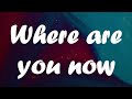 Lost Frequencies & Calum Scott - Where are you now lyric video