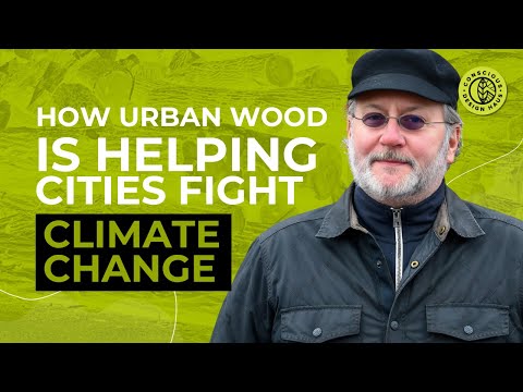 How Urban Wood is Helping Cities Fight Climate Change