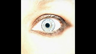 MIRACLE - LOUISE HOFFSTEN