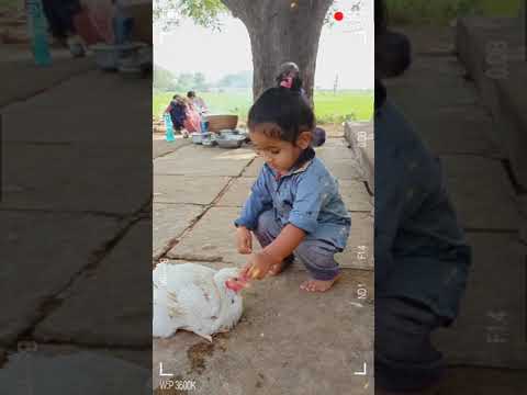 thogati vishwateja.. funny pics