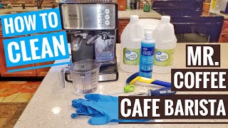 Mr Coffee Espresso Cappuccino Cafe Barista HOW TO CLEAN / Descale ECMP 1000 Maker Machine Vinegar