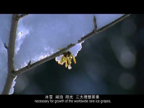 Huanren International Wine Indusrty Park