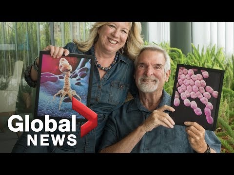 Phage therapy: How Canadian doctor used century-old medicine to save dying husband from 'super bug'