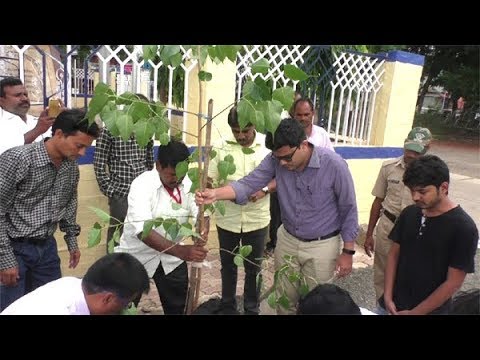 आयुक्त दिवेगावकरांनी केलं पिंपळाचं वृक्षारोपण