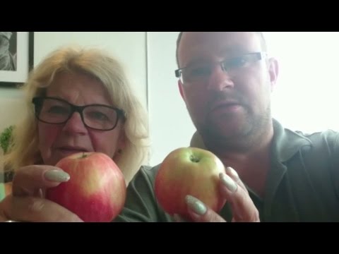 Videoblogg: Christer och Lisbeth "Hjälp oss nu Härnösand" - Spring! (TV4)