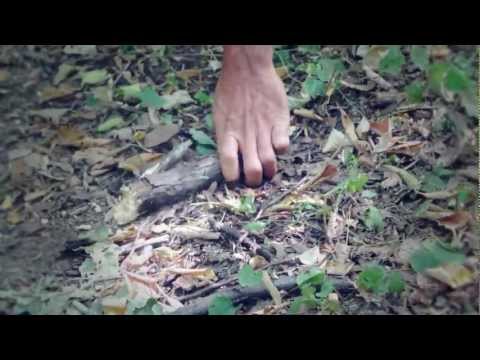 Violent Chapter - Bottom Feeder (Official Video) [HD]