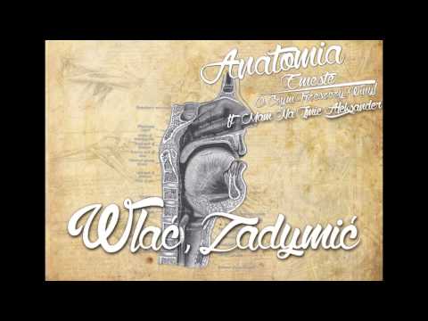 3. Emeste x O.C.T.W- Wlać, Zadymić feat. Mam Na Imię Aleksander (Anatomia LP)