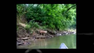 preview picture of video 'Canoeing Whippoorwill Creek Olmstead KY Mike and Jeri Taylor Lickskillet Logan County Farm'