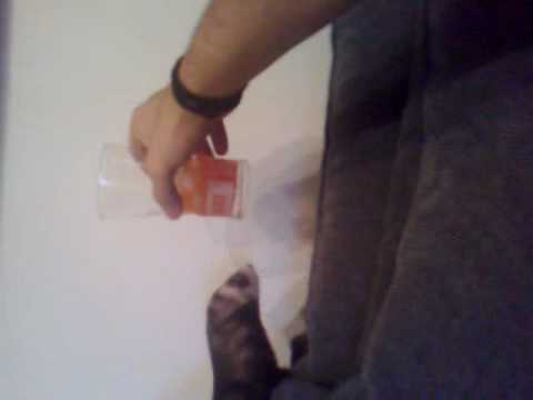 elvis tomando campari