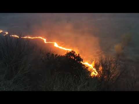 Incendiu de Vegetatie in Bacau