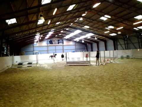 Deedee nr 2 i LC Nyborg rideklub