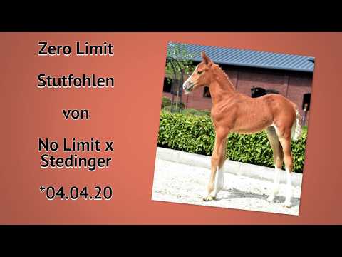 8 SF No Limit x Stedinger