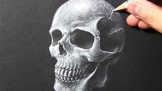 Drawing Time Lapse: Skull [White Pencil/Black Paper]