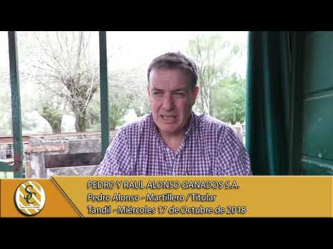 17-10-18 Nota Pedro Alonso - Martillero / Titular - Pedro y Raúl Alonso Ganados S.A. - Tandil