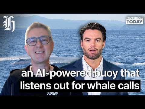 Thumbnail for Pilot Pulse: An AI-powered buoy that listens out for whale calls | Ryan Bridge TODAY