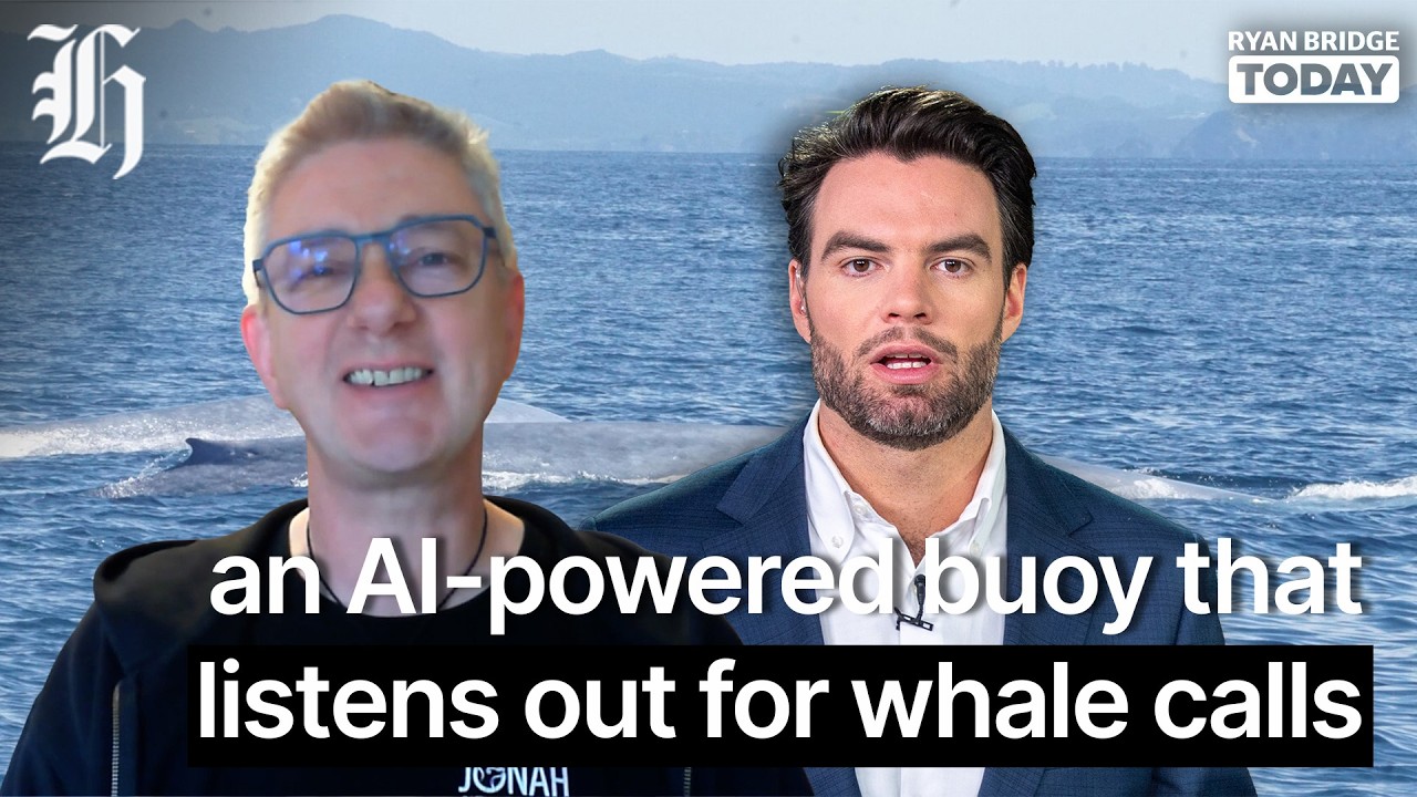 Pilot Pulse: An AI-powered buoy that listens out for whale calls | Ryan Bridge TODAY