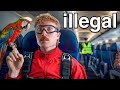 I Broke Weird Airline Rules