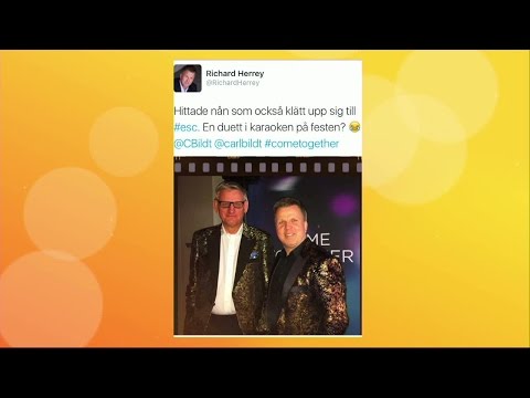 Så hyllade kändisarna Eurovision på nätet - Nyhetsmorgon (TV4)