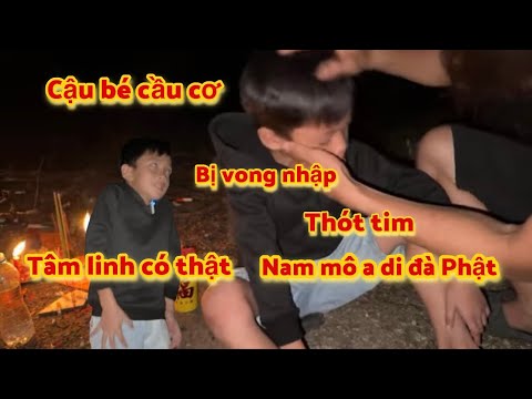 Ông cóc linh thiêng giữa rừng #hoatv