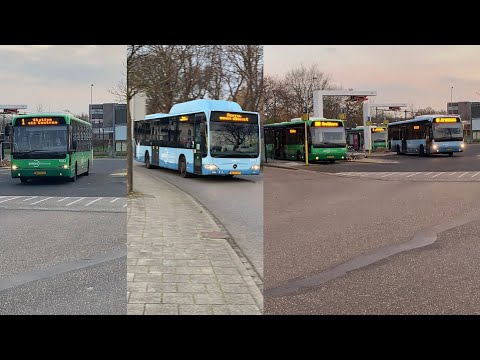 Middagje bussen spotten bij station Ede-Wageningen. Syntus Veluwe