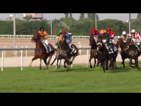 Maďarské derby 2015: Jaroslav Línek