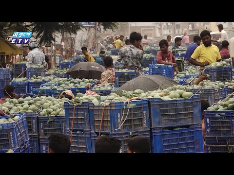 নওগাঁয় জমেছে আমের বাজার, ফলন কম হলেও দাম ভালো