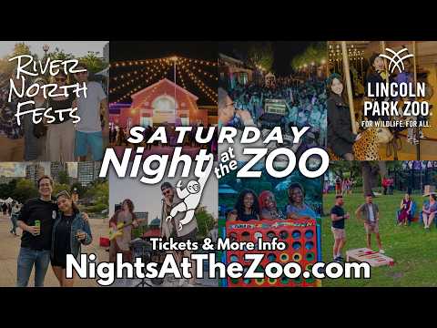 Play Video Youtube Video