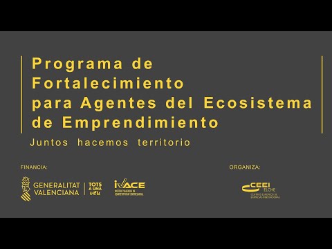 Presentación programa Fortalecimiento Agentes Ecosistema Emprendedor Valenciano 2021
