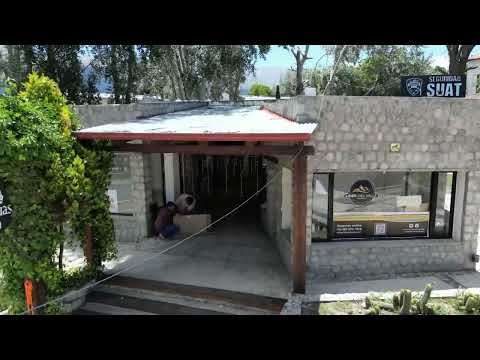 Las queñuas Tafí del Valle 