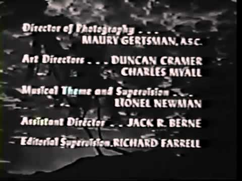 Lady from South Chicago Adventures in Paradise