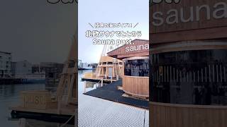 【北欧サウナ】極寒の海にダイブ！ノルウェー🇳🇴トロムソ #北欧サウナ #ノルウェー #norway #トロムソ #tromsø #オーロラ #旅行vlog #ドイツ生活 #ドイツ在住 #海外生活