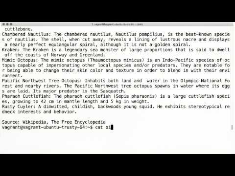 Some Common Commands