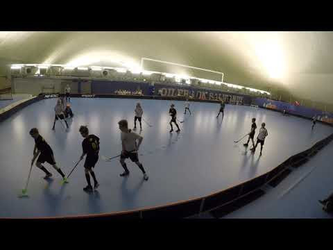 Blackbirds - Black  -06