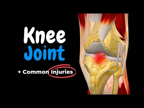 Knee Joint Anatomy & Common Injuries (Ligaments, Menisci & Movements)
