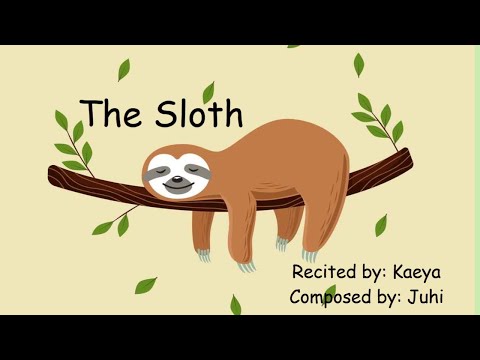 The Sloth | Funny Poem about Sloth | Rhyme Time | Animal Poems