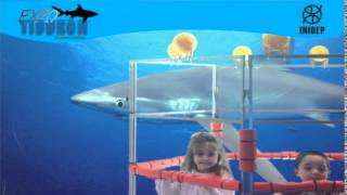 DIA 2 Expo Tiburon297