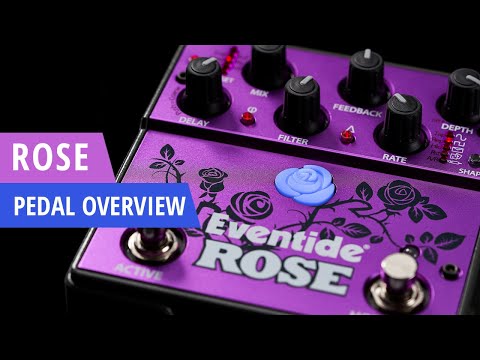 Eventide Rose Delay Effect Pedal | Sweetwater Eventide Rose Delay Effect Pedal | Sweetwater