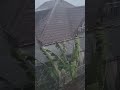 Black Sea Russia Sochi Hail End Of June